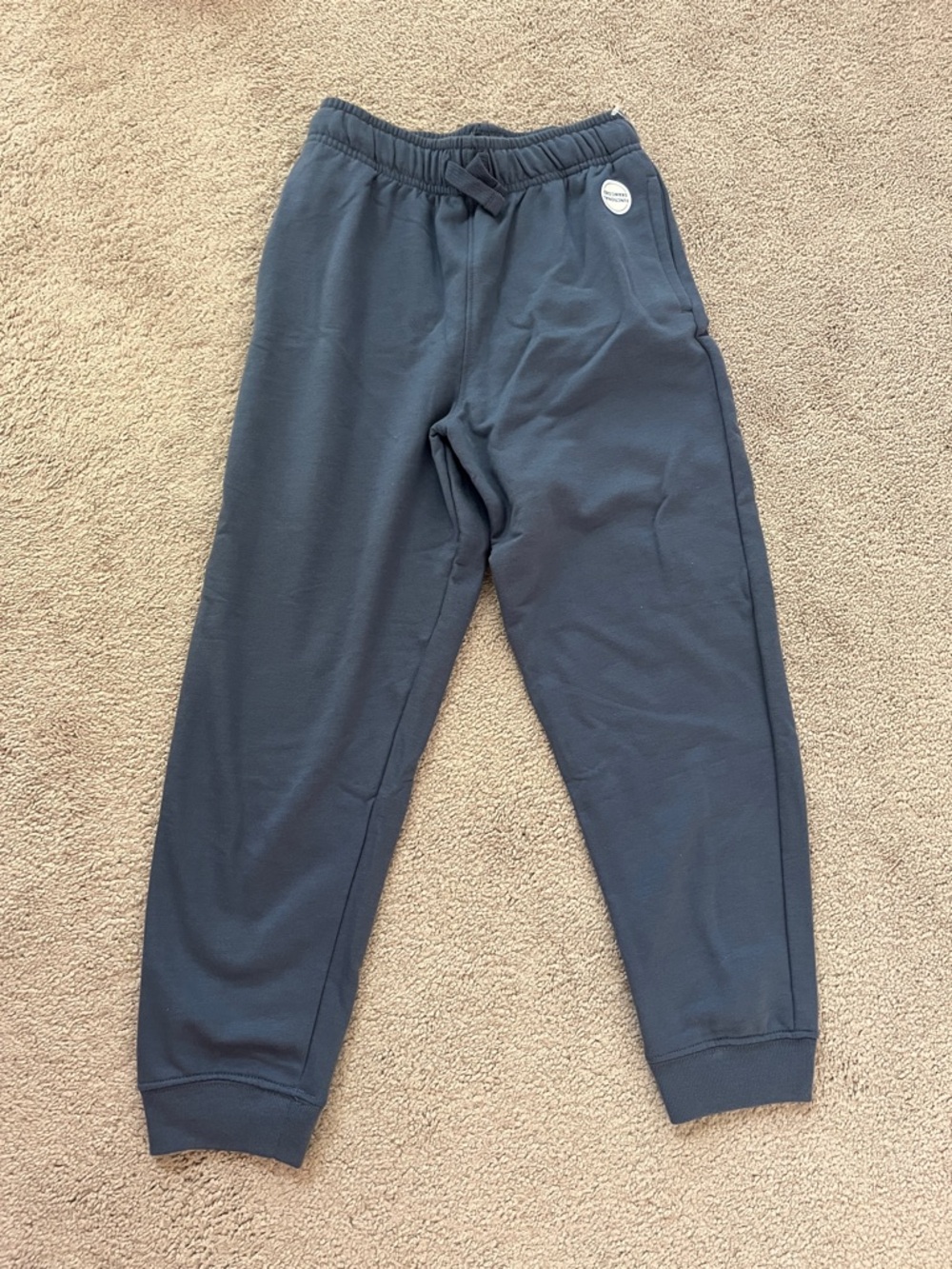 Garanimals Navy Blue Kids Jogger Sweatpants